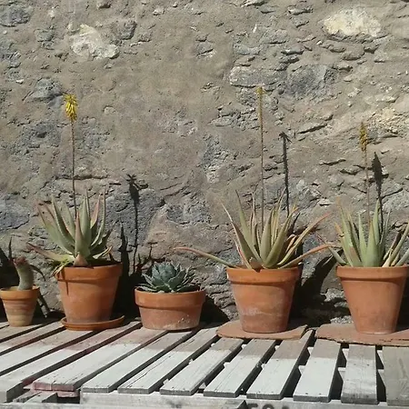 Casa Con Encanto 別荘 *